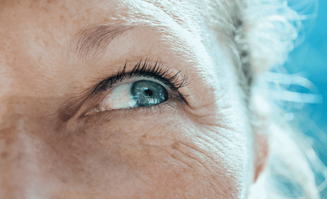 Est-ce que les seniors doivent renoncer aux lentilles de contact ? Est-ce que les seniors doivent renoncer aux lentilles de contact ?